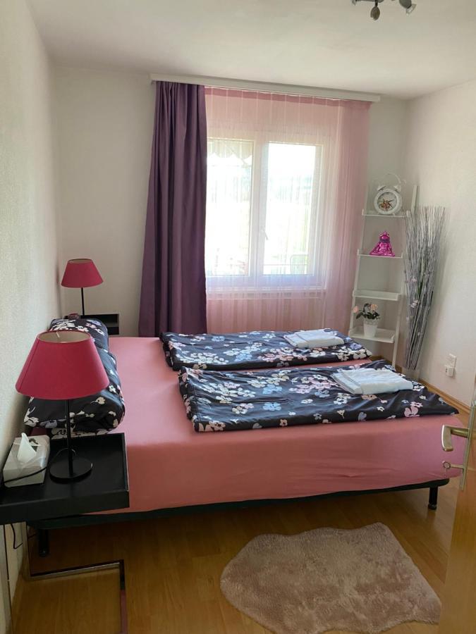 Grosszugige Ferienwohnung Eschenz Buitenkant foto